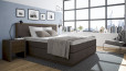 Boxspringbett Max 200 x 200 cm in Bull Dunkelbraun