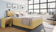 Boxspringbett Max 200 x 200 cm in Board Gelb