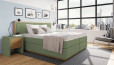 Boxspringbett Max 200 x 200 cm in Board Grün