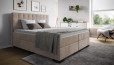 Boxspringbett Paul in Challenger Liver