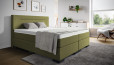 Boxspringbett Paul in Crush Olive