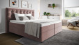 Boxspringbett Paul in Adore Pale