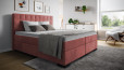 Boxspringbett Paul in Challenger Scarlet