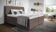 Boxspringbett Paul in Board Taupe