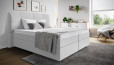 Boxspringbett Paul in Board Zink