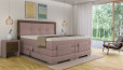 Boxspringbett Daniel in Bull Magnolia