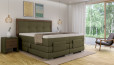 Boxspringbett Daniel in Bull Moss