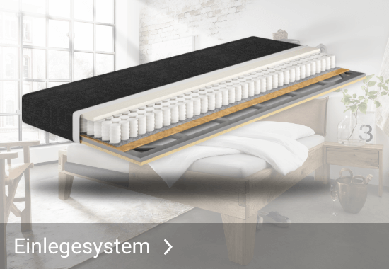Einlegesystem